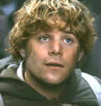 samwise gamgee